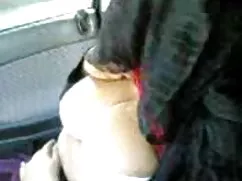 Szőrös állatok vagin ...